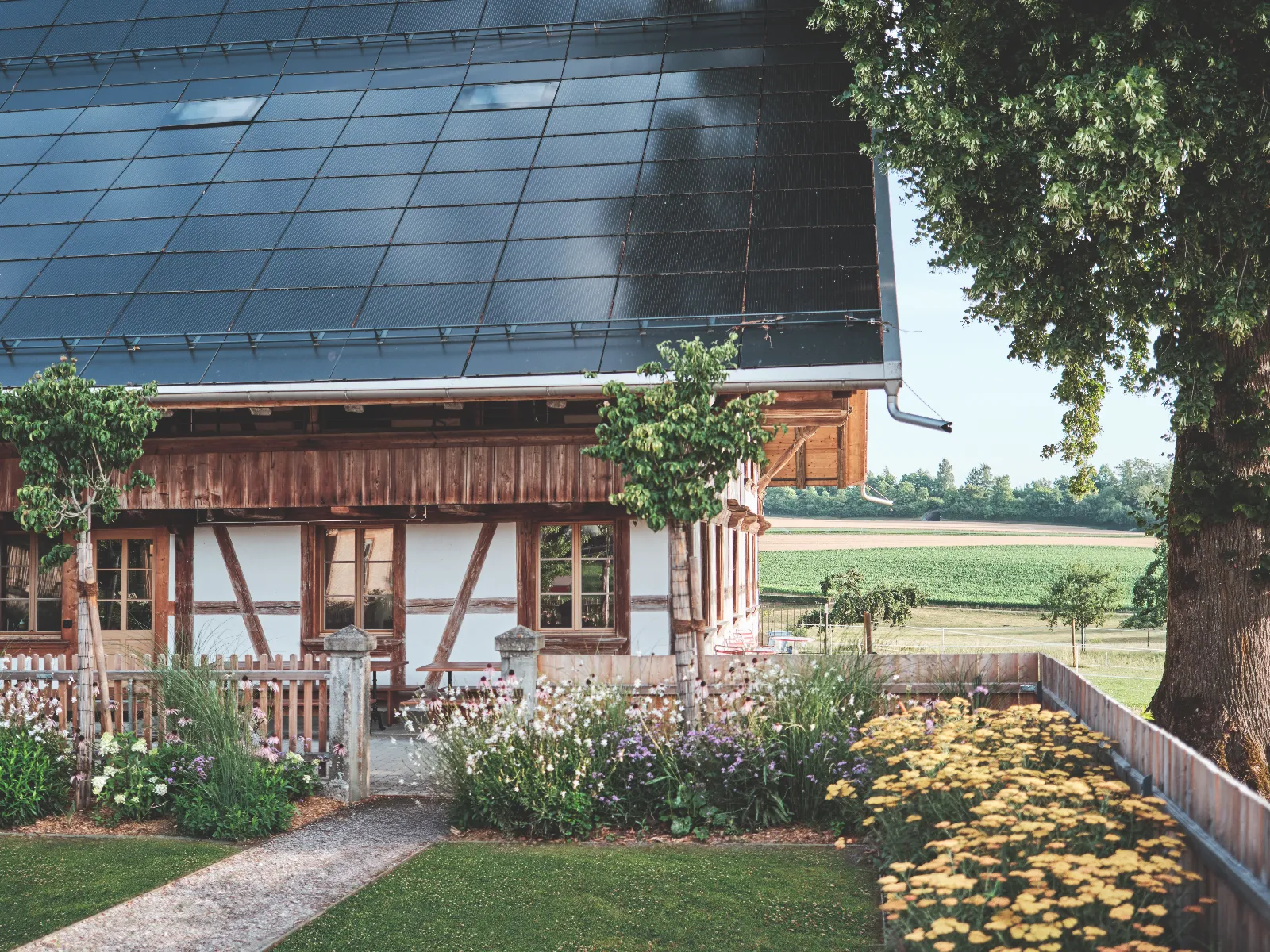 Gartenansicht von aussen, vom Wohnzimmer aus sichtbar