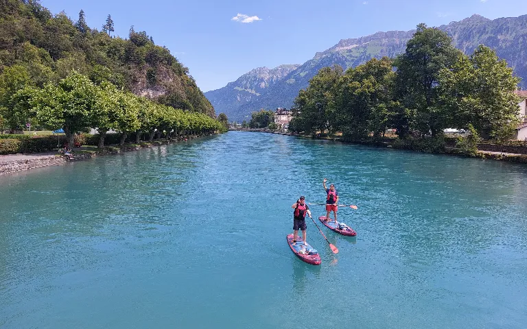 Zwei Personen paddeln mit SUP auf der Aare