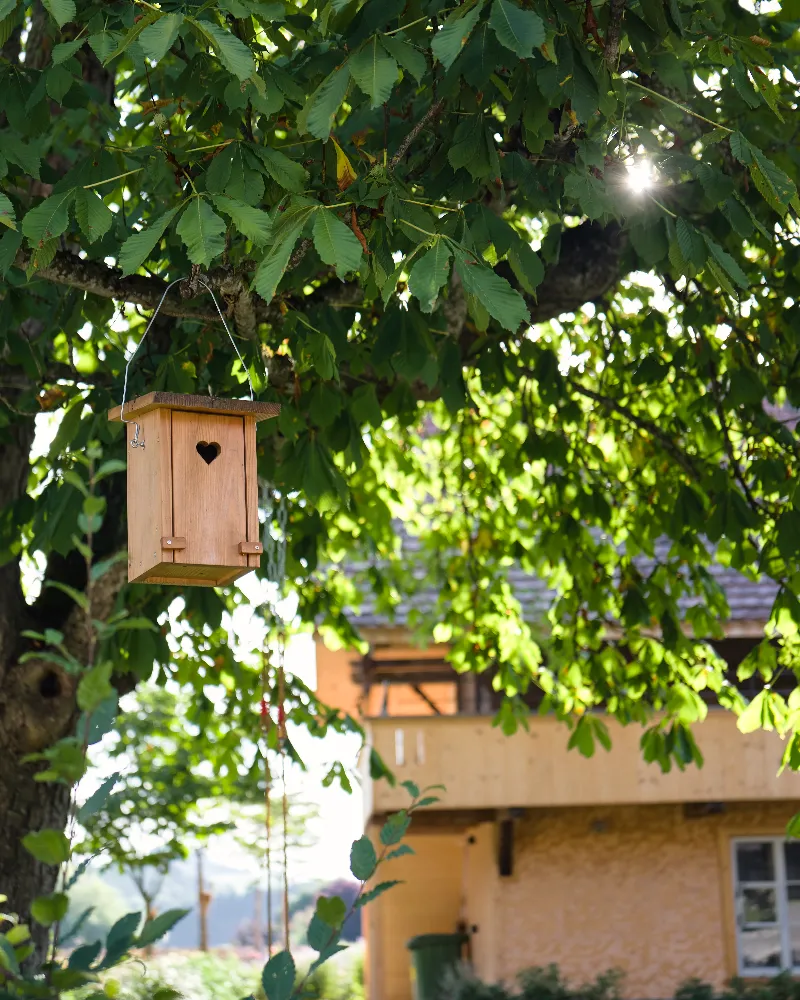 Vogelhaus im Baum mit Sonnenlicht durch die Blätter
