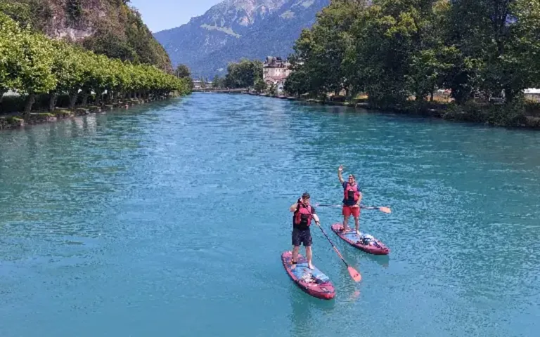 Zwei Personen paddeln mit SUP auf der Aare
